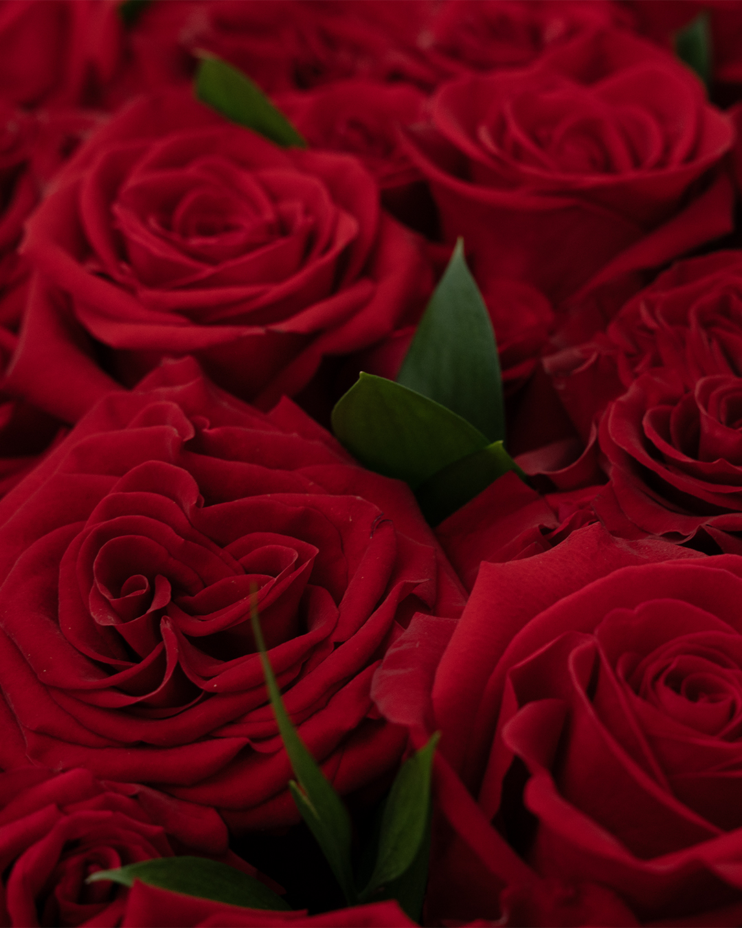 Anniversary flower arrangements