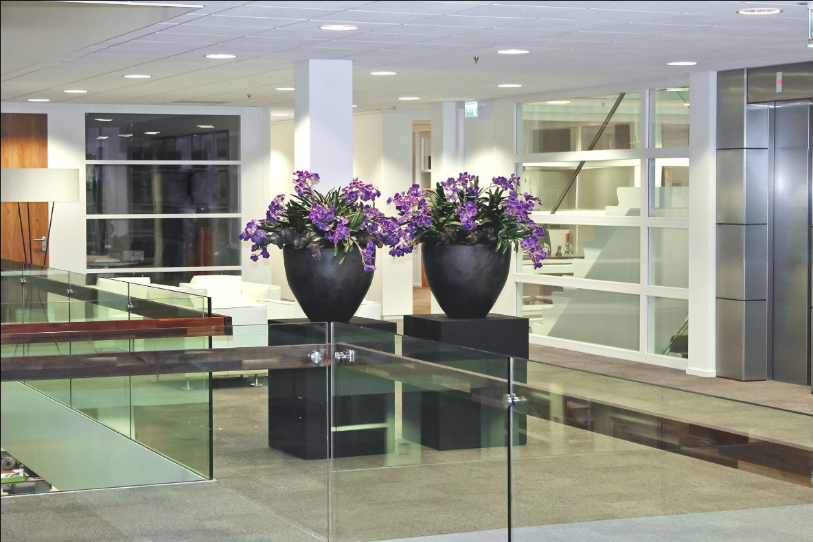 Corporate Floral Services