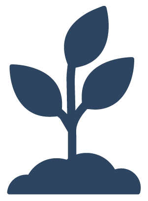 Potted Plants