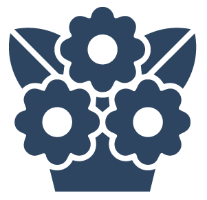 Grand Openings & Launches