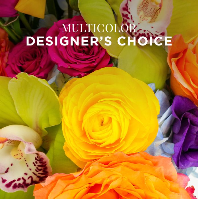 Designers Choice - Vibrant MultiColor