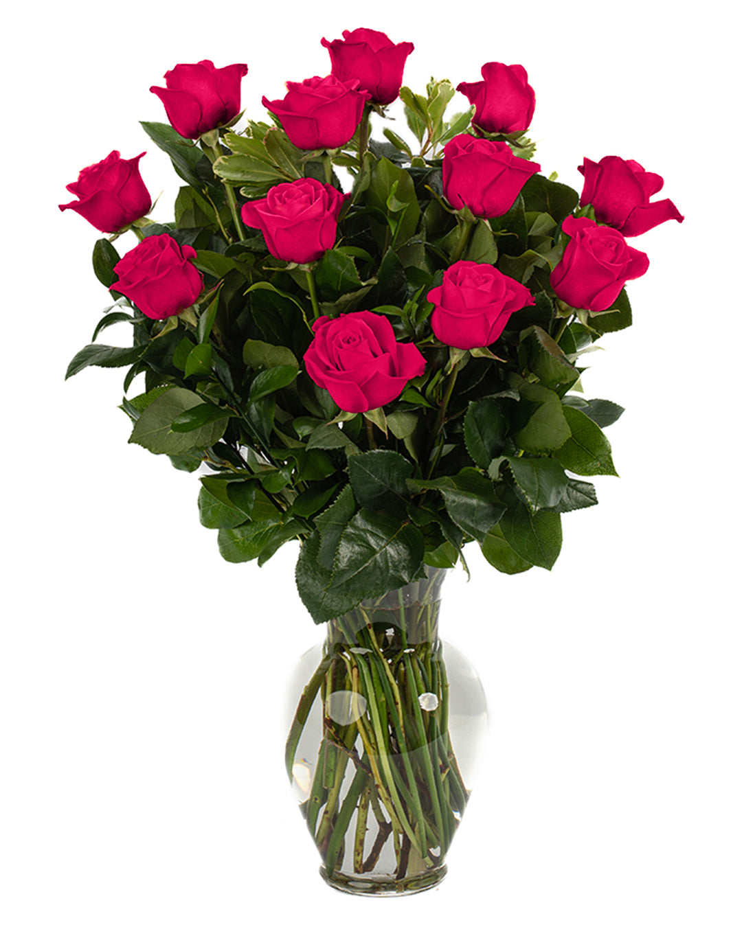 Hot Pink Roses - Choose a Size