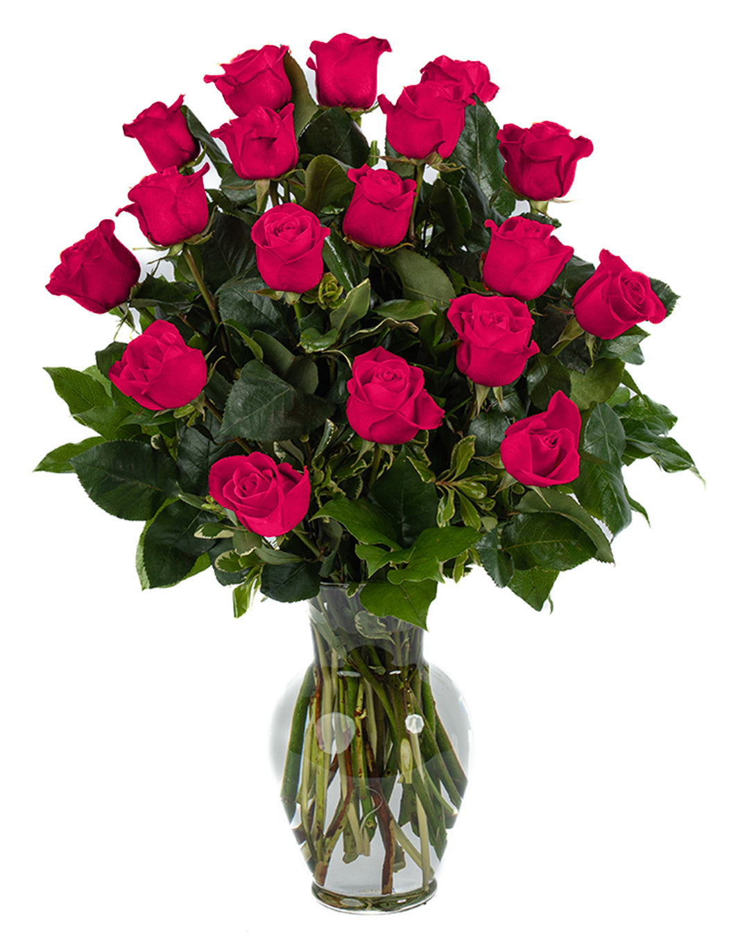 Hot Pink Roses - Choose a Size