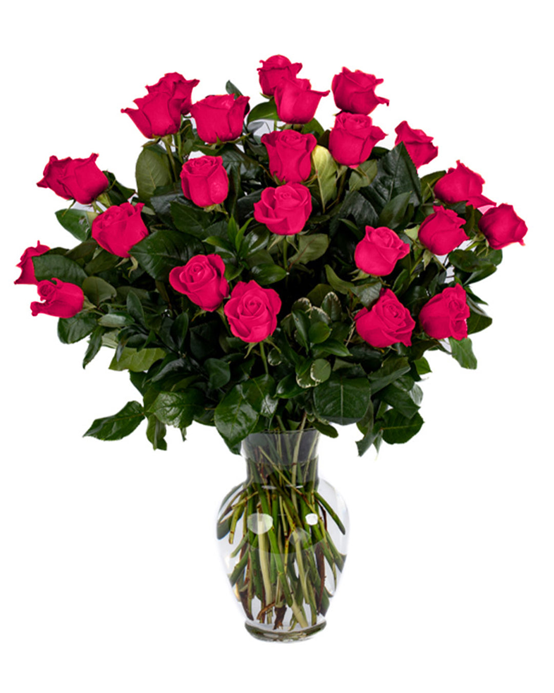 Hot Pink Roses - Choose a Size