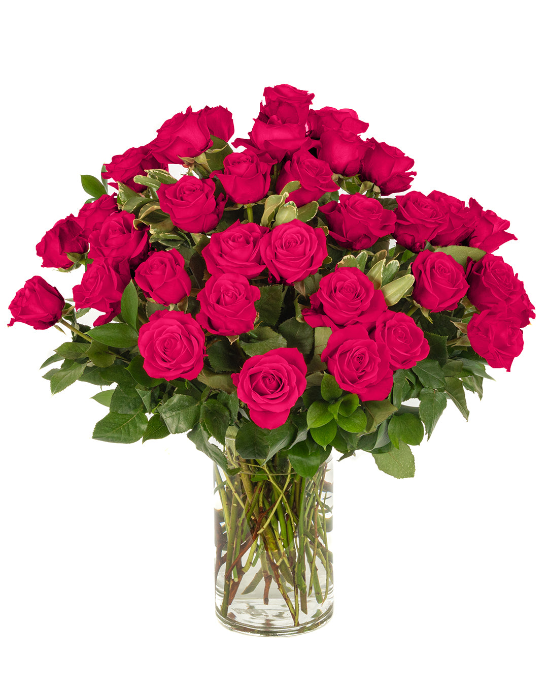Hot Pink Roses - Choose a Size