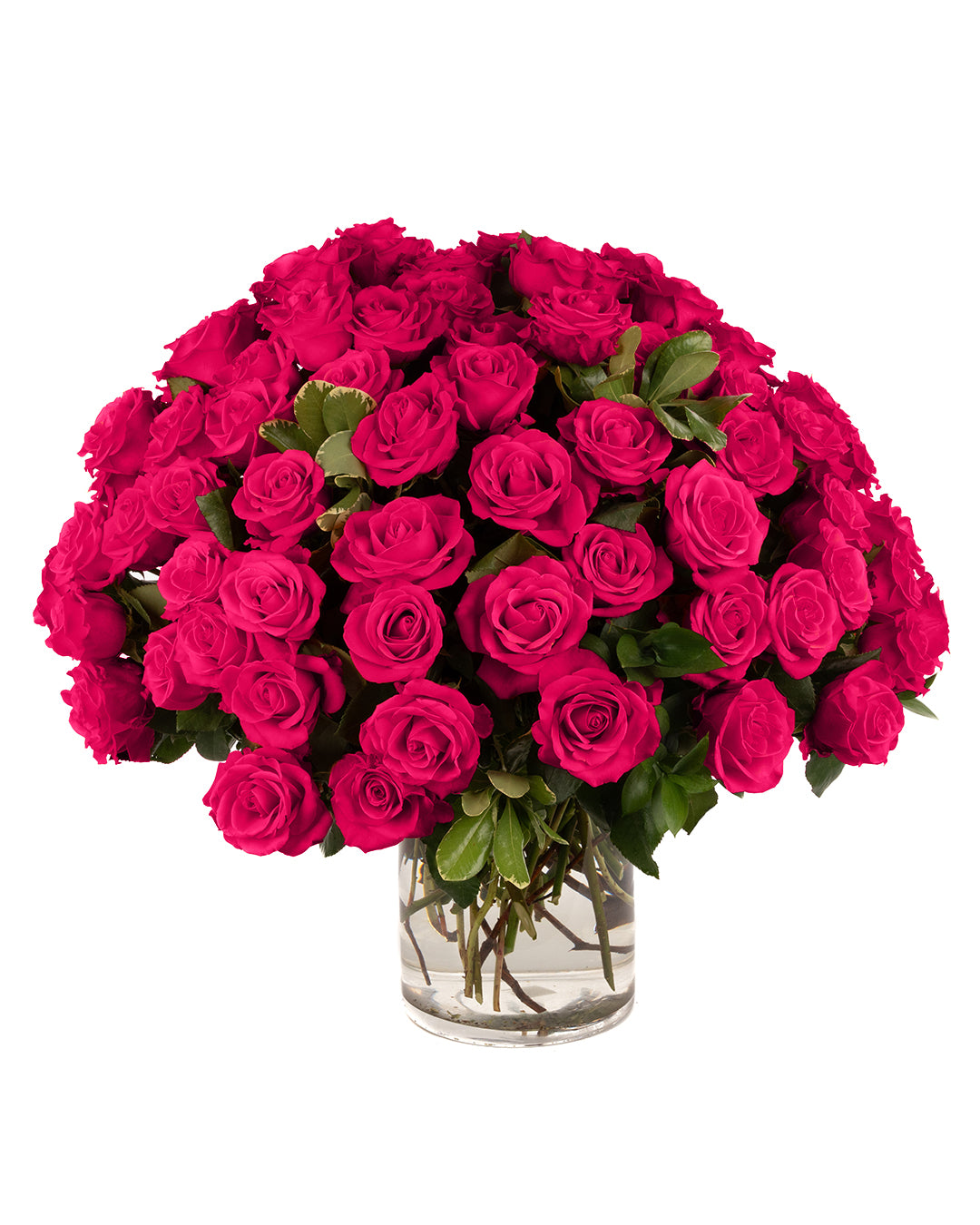 Hot Pink Roses - Choose a Size
