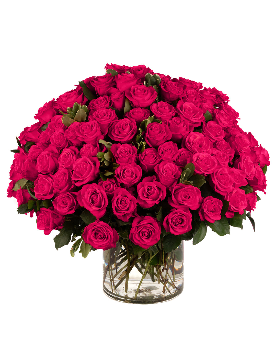 Hot Pink Roses - Choose a Size