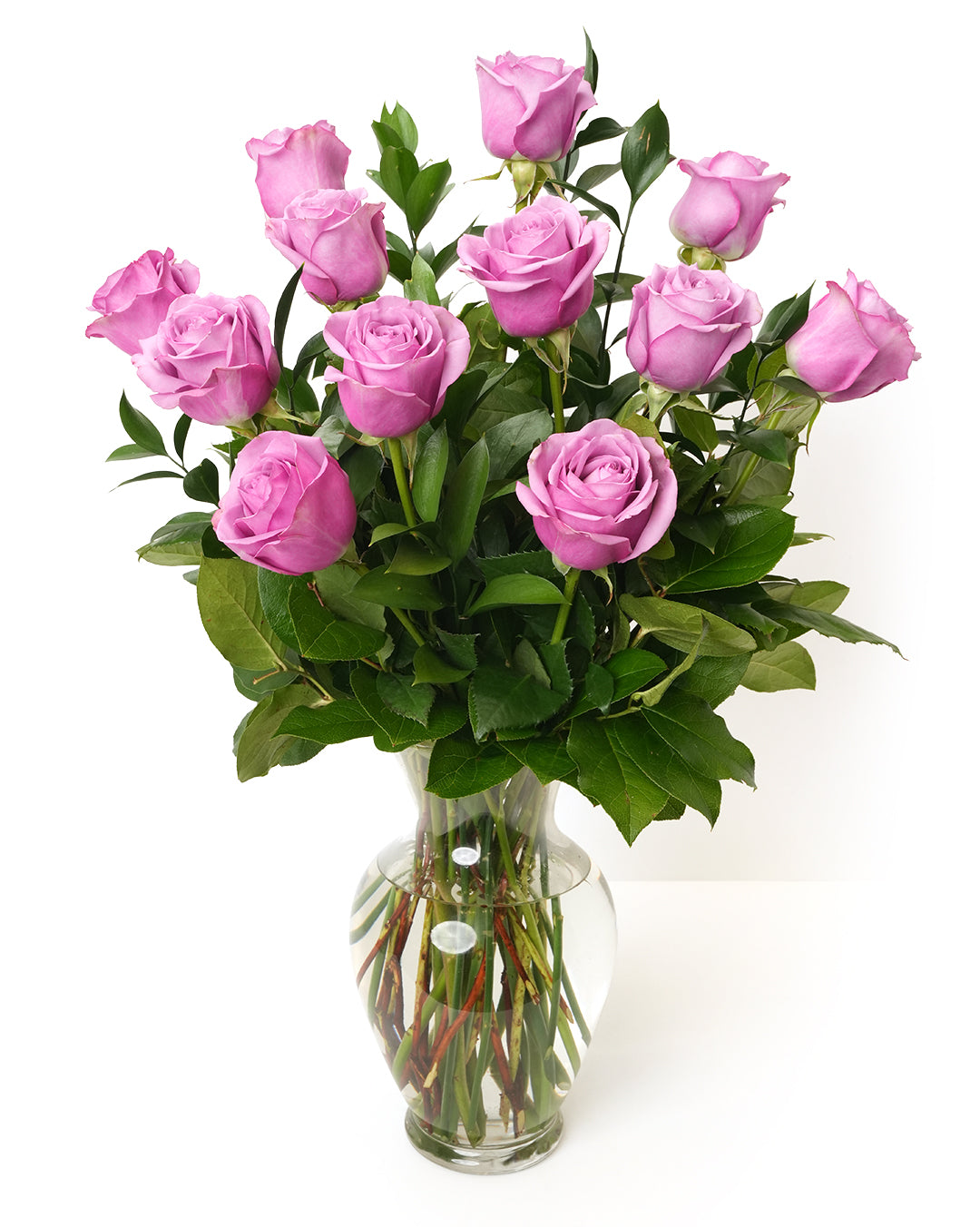 Lavender Roses - Choose a Size