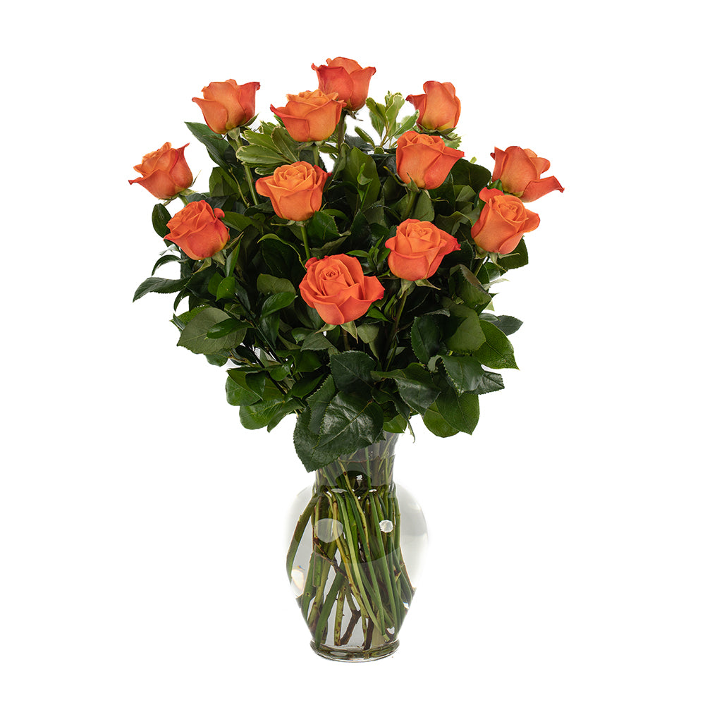 Orange Roses - Choose a Size