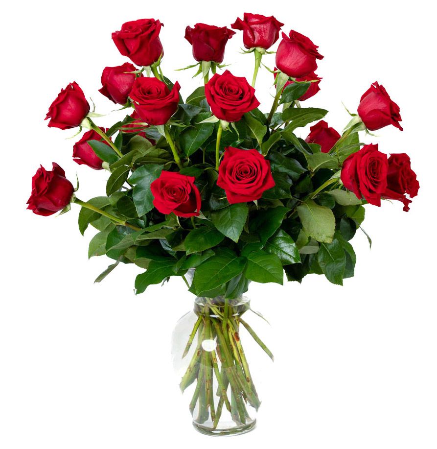 A stunning bouquet of 15 vibrant red roses beautifully arranged in a clear glass vase.