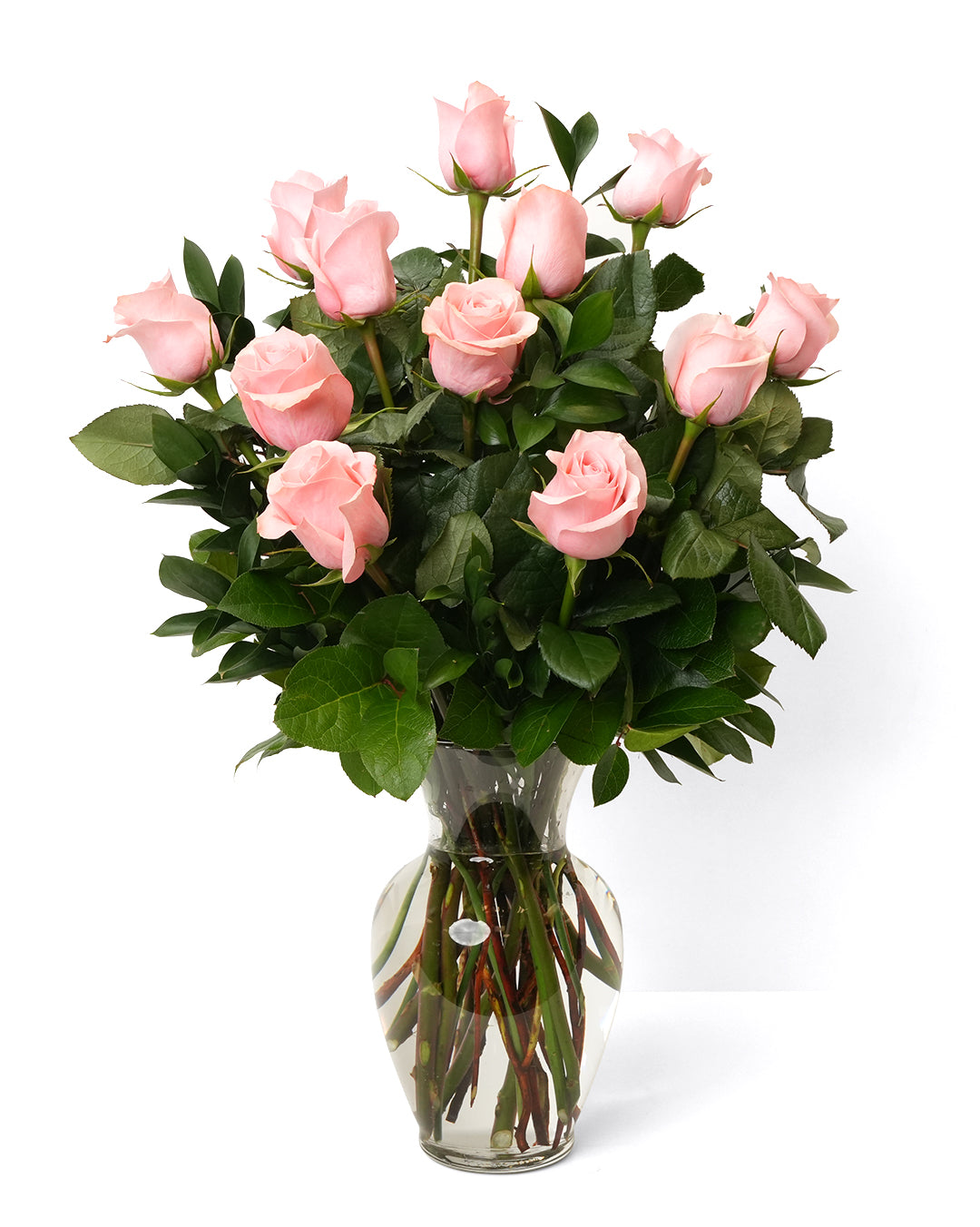 Soft Pink Roses - Choose a Size